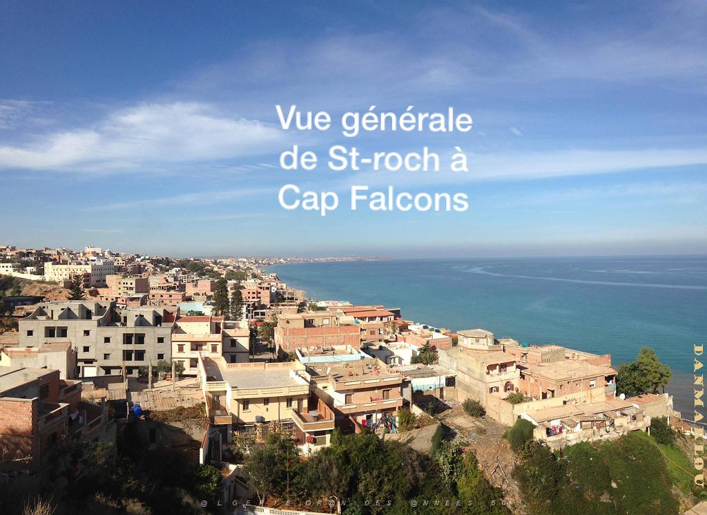 ST ROCH A CAP FALCON vue generale.jpg